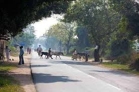 Road Development